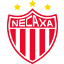 Liga MX Necaxa
